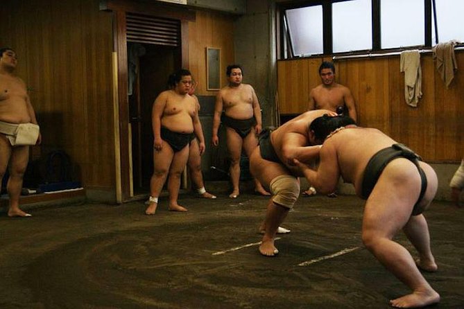 Watch Sumo Morning Practice at Stable in Tokyo - What you are really watching inside the stable