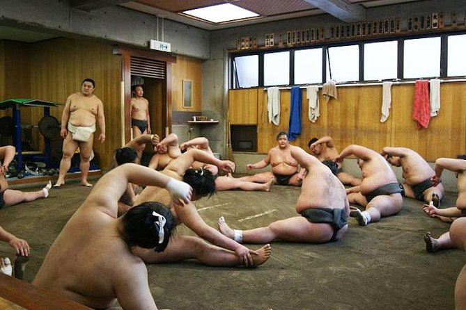 Watch Sumo Morning Practice at Stable in Tokyo - How much value do you get for $95.77?