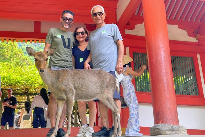 World Heritage Kyoto & Nara Uji Authentic Matcha Experience - Meeting Nara’s deer in the park