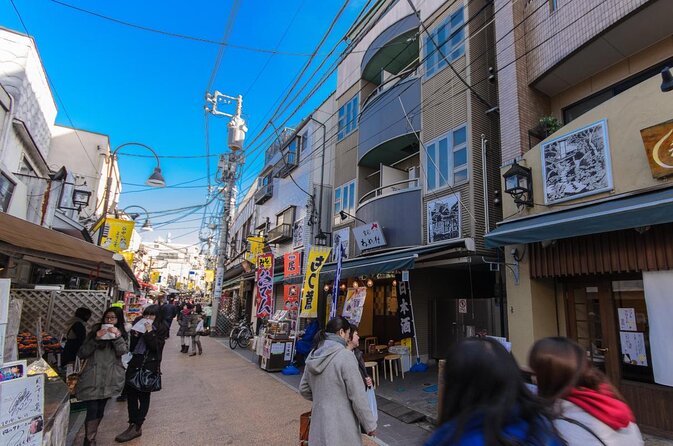 Yanaka Walking Tour: Historic and Traditional District of Tokyo - Key points to know before you book