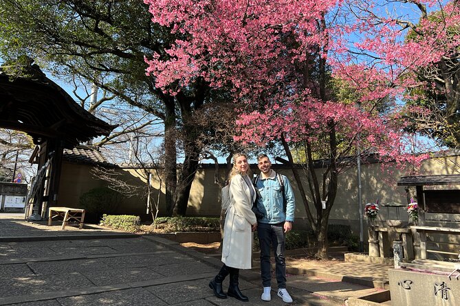 Yanaka Walking Tour: Historic and Traditional District of Tokyo - Optional tea, museums, and old neighborhood crafts